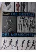 Die Gestalt des Menschen
