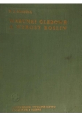 Warunki glebowe a wzrost roślin