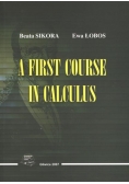 A first course in calculus