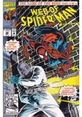 Web of Spider-Man