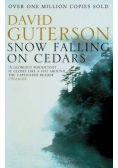 Snow Falling on Cedars