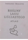 Rośliny lasu liściastego. Atlas