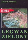 Legwan Zielony