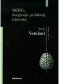 Mózg  Fascynacje problemy tajemnice