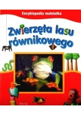 Zwierzęta lasu równikowego
