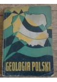 Geologia Polski