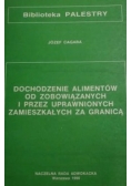 Dochodzenie alimentów od zobowiązanych i przez uprawnionych zamieszkałych za granicą
