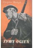Żywy ogień