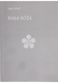 Biała róża
