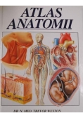 Atlas Anatomii