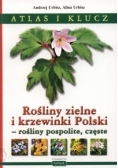 Atlas i klucz, rośliny zielne i krzewinki Polskie