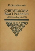 Chrystologia braci polskich. Okres przedsocyniański