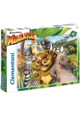 Puzzle 60 Madagascar