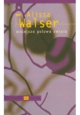 Mniejsza połowa świata