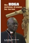 Bez Boga jesteśmy drzewem bez korzeni