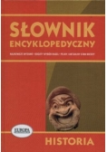 Słownik encyklopedyczny. Historia