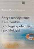 Zarys resocjalizacji z elementami patologii społecznej i profilaktyki