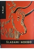 Śladami Noego