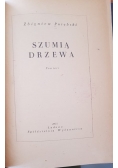 Szumią drzewa