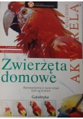 Zwierzęta domowe Malowane Akwarelą