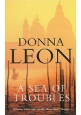 A Sea of Troubles