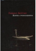 Rzeka podziemna