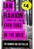 Even Dogs in the wild