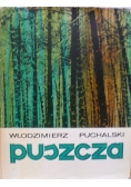 Puszcza