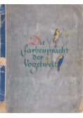 Die farbenpracht der Vogelwelt