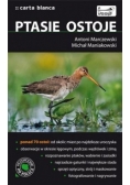 Ptasie ostoje