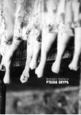 Ptasia grypa i inne rojenia