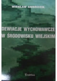 Dewiacje wychowawcze w środowisku wiejskim