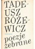 Różewicz Poezje zebrane