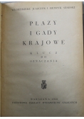 Płazy i gady krajowe klucz do oznaczania 1950 r.