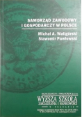 Samorząd zawodowy i gospodarczy w  Polsce
