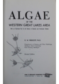 Algae of the Western Great Lakes Area