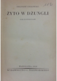 Żyto w dżungli, 1936r.