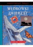 Wędrówki zwierząt