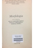 Morfologia.