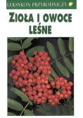 Leksykon przyrodniczy. Zioła i owoce leśne