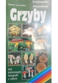 Grzyby. Encyklopedia kieszonkowa
