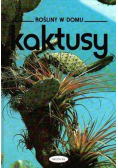 Kaktusy
