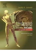Mózg