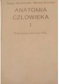 Anatomia człowieka I