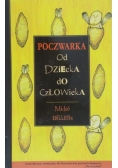 Poczwarka od dziecka do człowieka