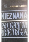 Nieznana Norymberga