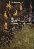 Systemy kojarzenia drzew iglastych