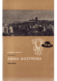 Ziemia gostyńska
