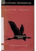 O wędrówkach ptaków