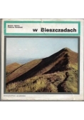 W Bieszczadach